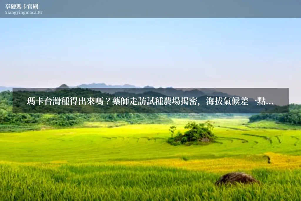 瑪卡台灣種得出來嗎 享硬瑪卡濃縮片